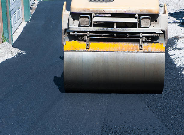 Best Driveway Border and Edging  in Colfax, LA